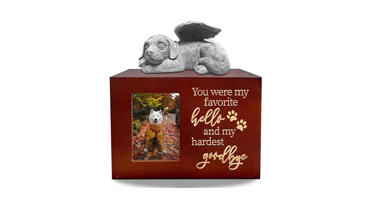 Verified image for post 252299