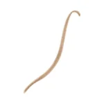 Verified image for post 252357