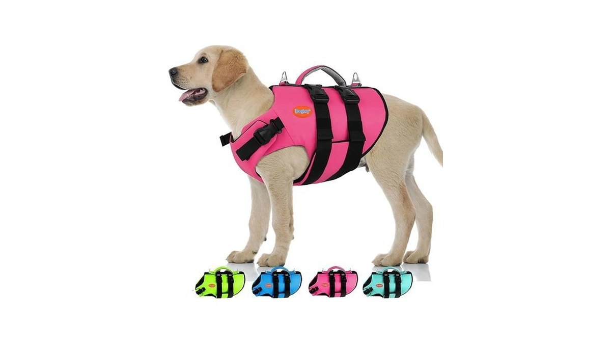 Verified image for post 252553