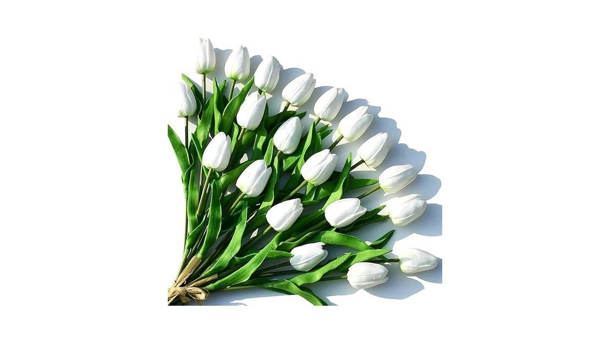 Verified image for post 252677