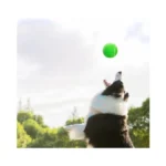 Verified image for post 252919