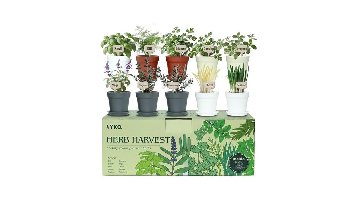 Verified image for post 252947