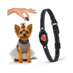 Verified image for post 255193