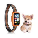 Verified image for post 255401