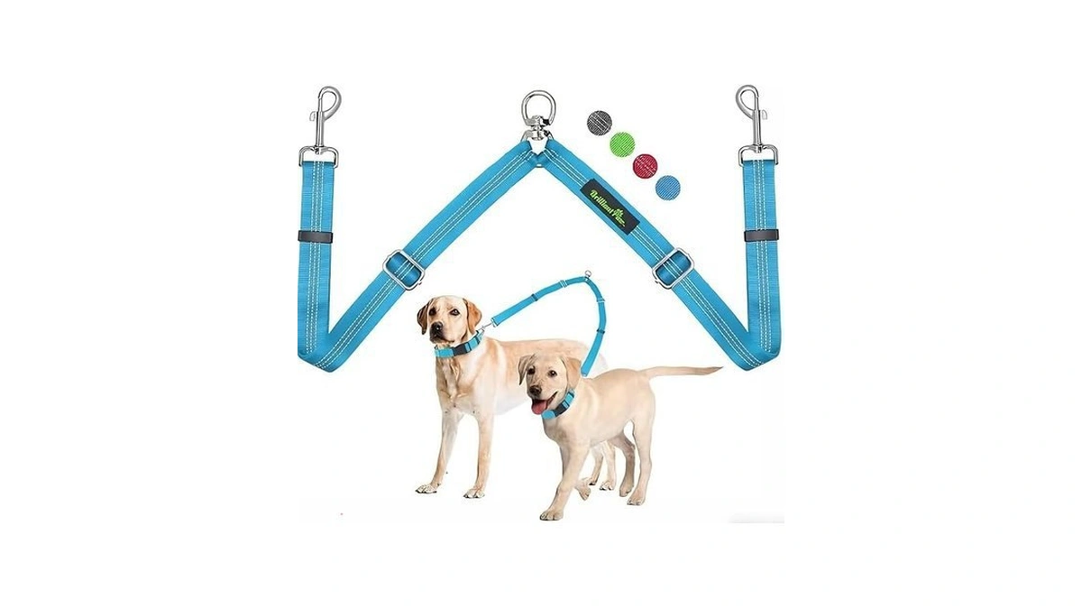 Verified image for post 255435