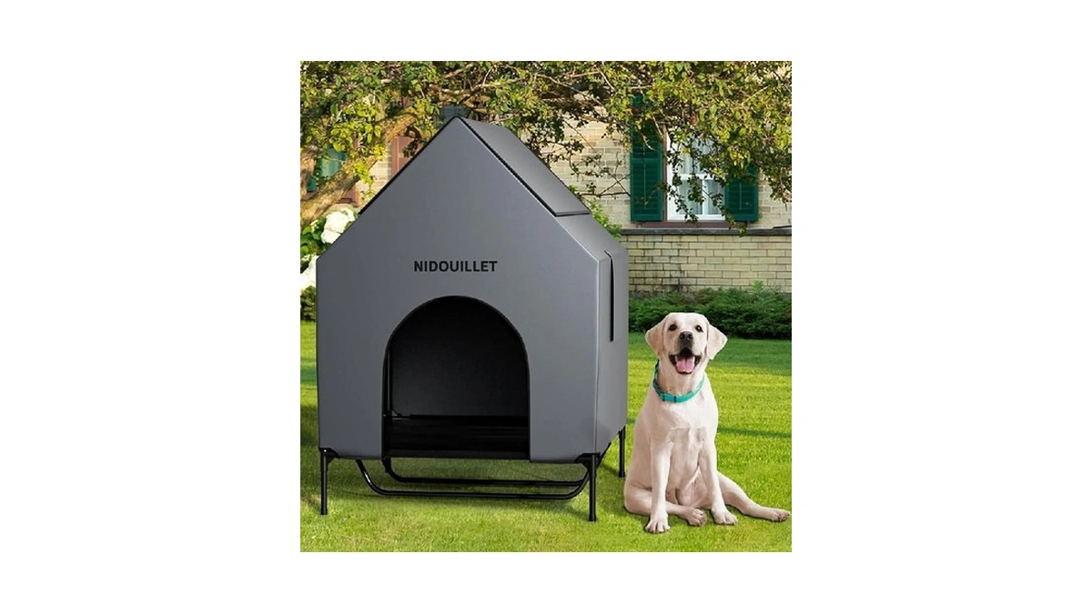 Verified image for post 255649