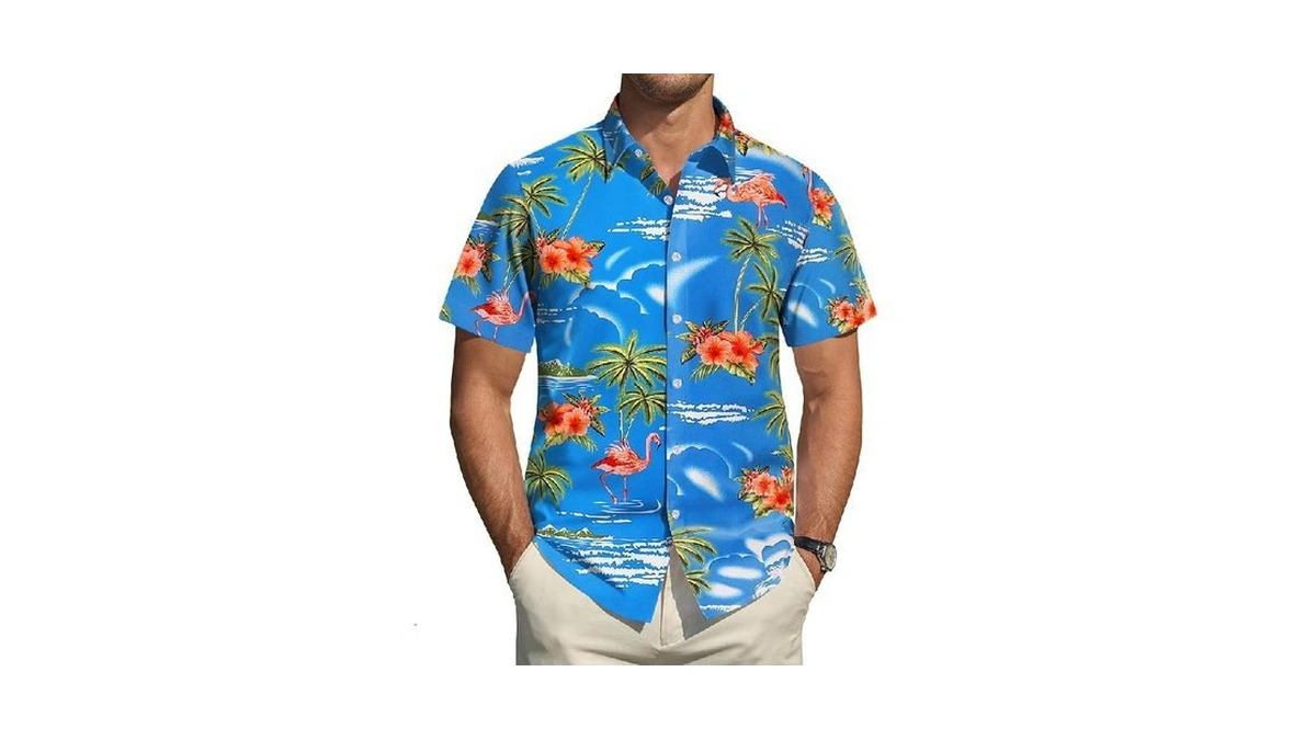 Verified image for post 255895