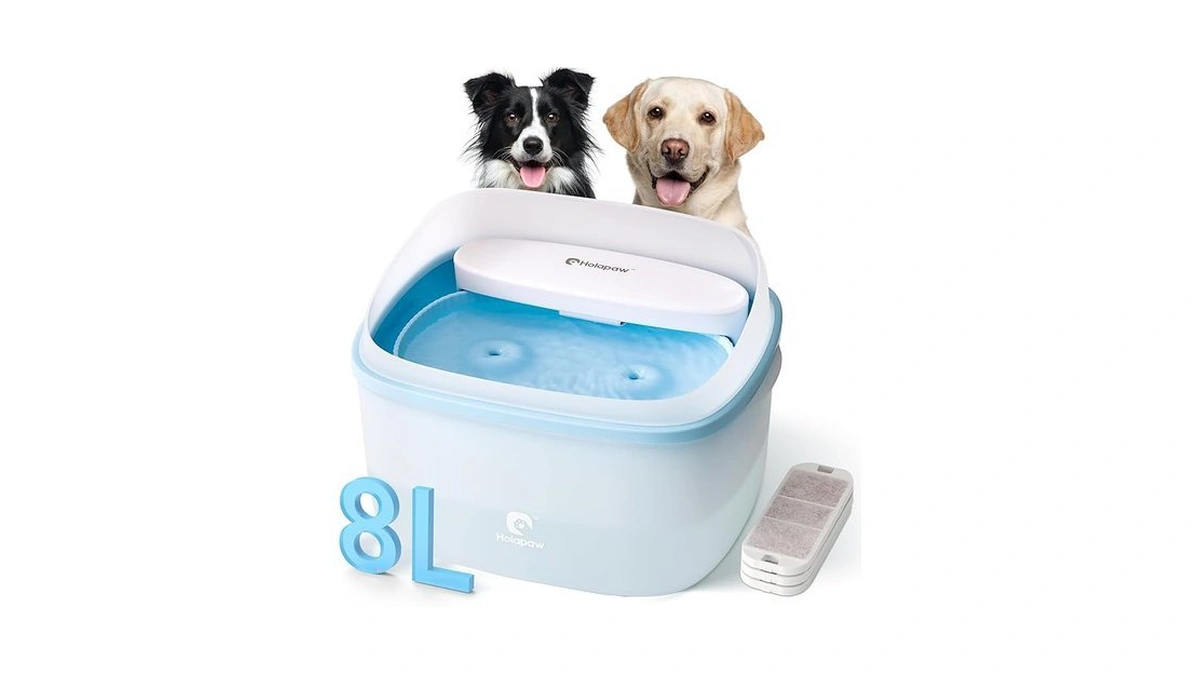 Verified image for post 256131