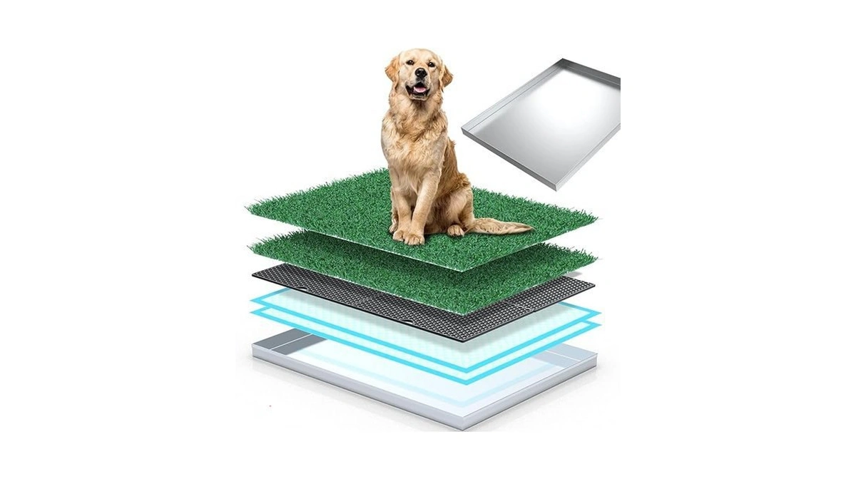 Verified image for post 256595