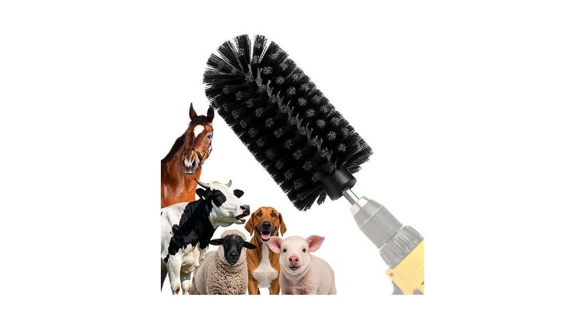 Verified image for post 256669