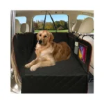 Verified image for post 258183