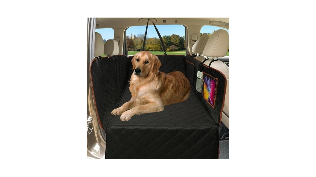 Verified image for post 258183