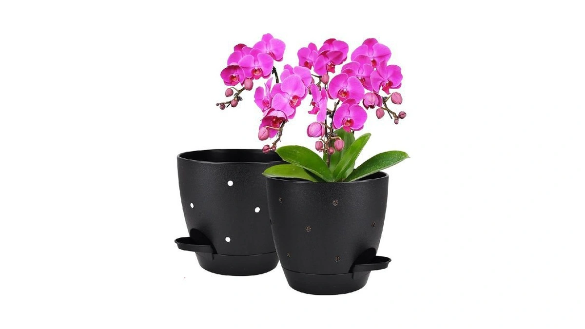 Verified image for post 258753