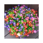 Verified image for post 259333