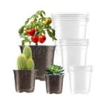 Verified image for post 259545