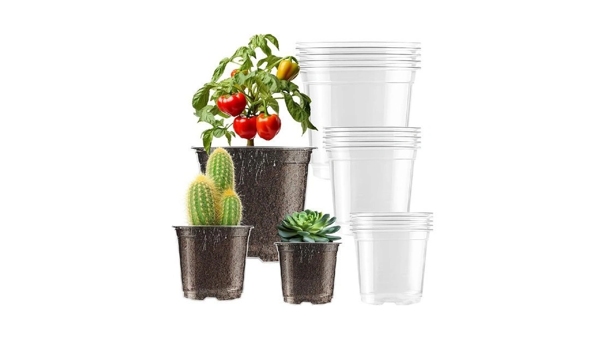 Verified image for post 259545