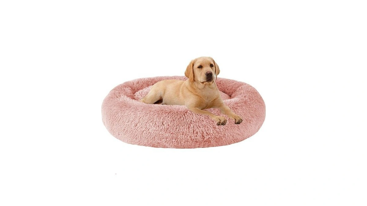 Verified image for post 259549