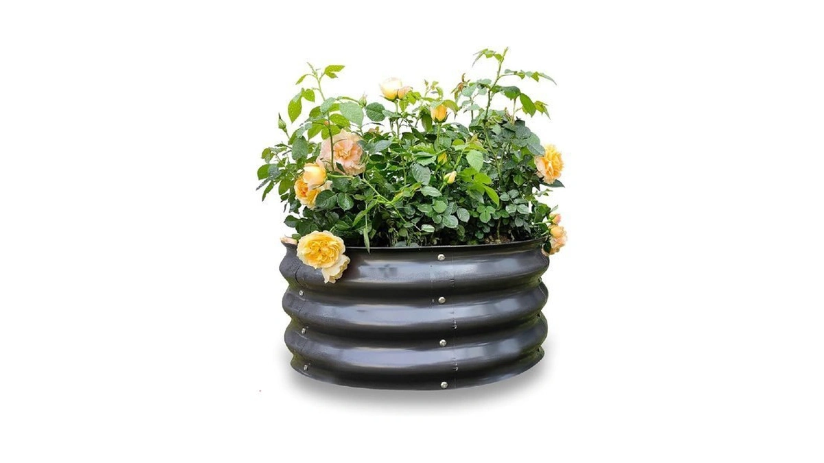 Verified image for post 260681