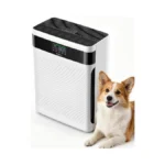 Verified image for post 260817