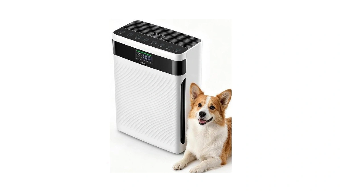 Verified image for post 260817