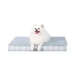 Verified image for post 261063