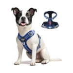 Verified image for post 261559