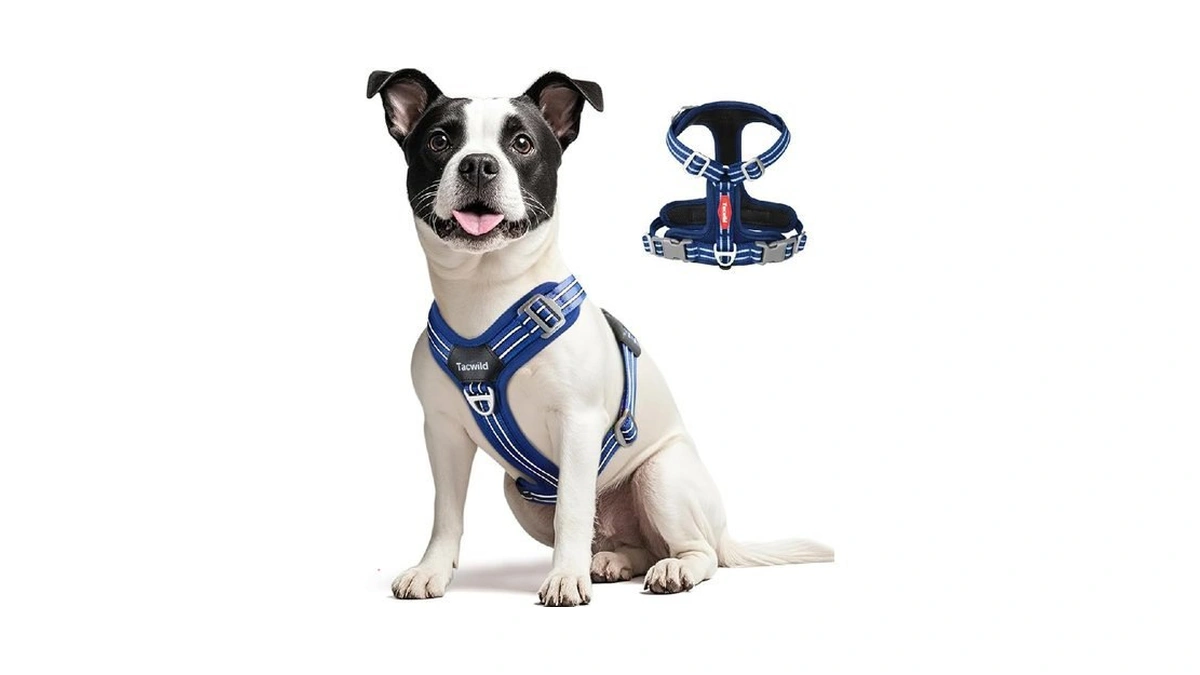 Verified image for post 261559