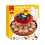 Verified image for post 261937