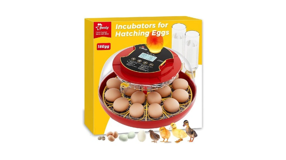 Verified image for post 261937