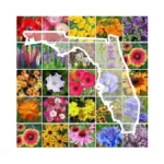 Verified image for post 262249