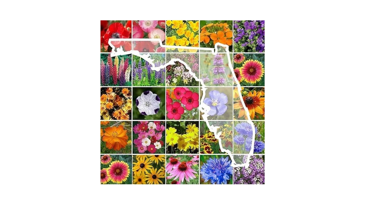 Verified image for post 262249