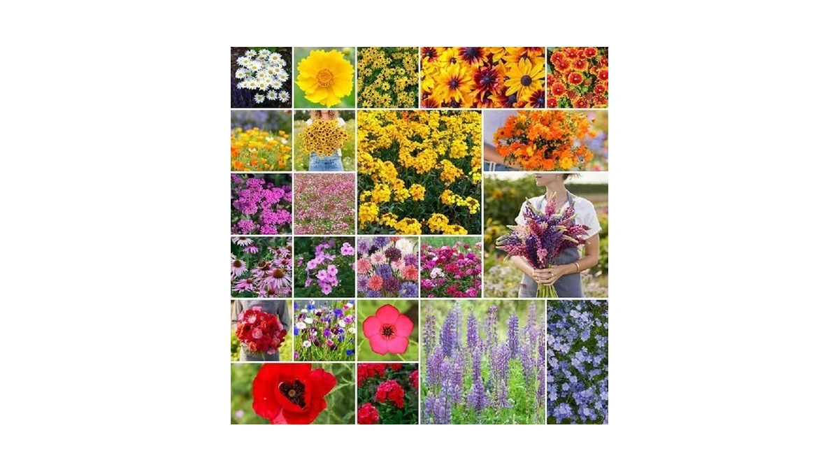 Verified image for post 262355