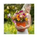 Verified image for post 262413