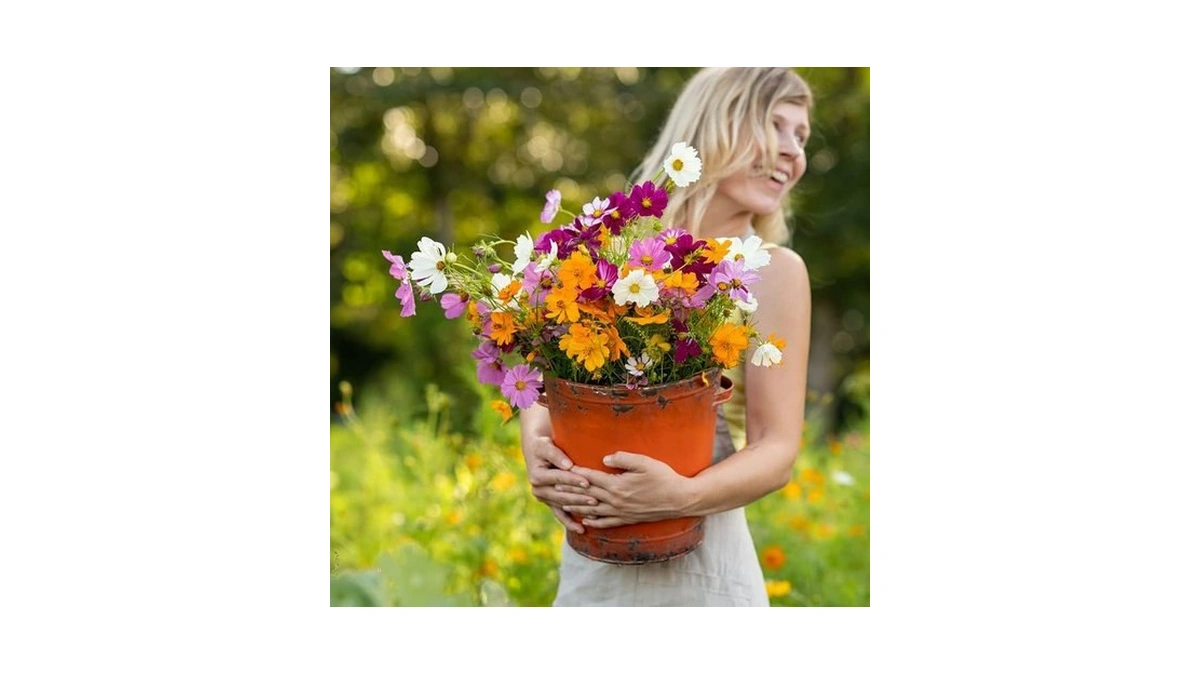 Verified image for post 262413