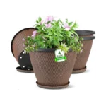 Verified image for post 263113