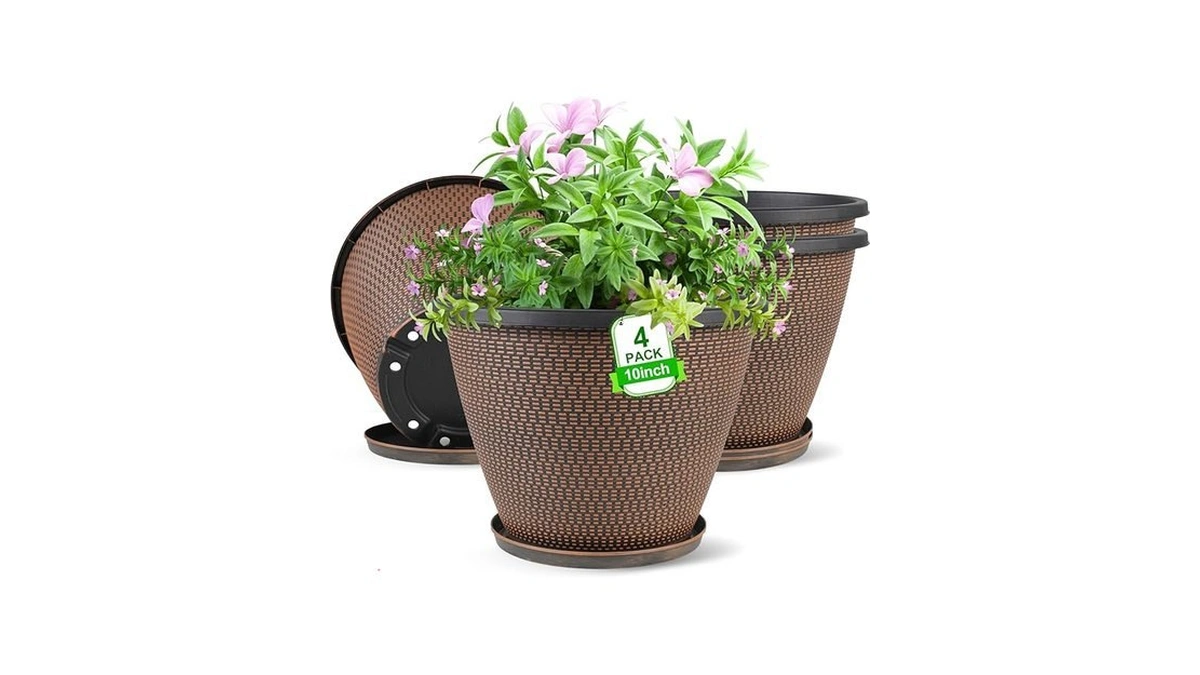 Verified image for post 263113