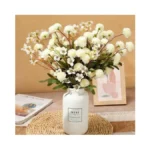 Verified image for post 263829