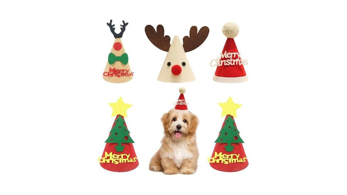 Verified image for post 263831