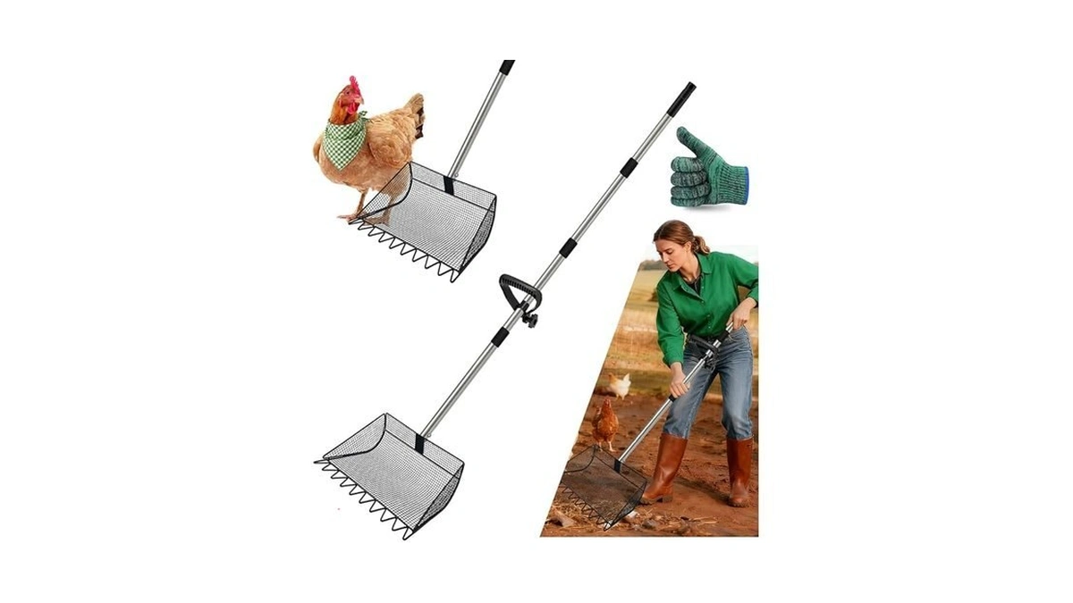 Verified image for post 263841