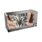 Verified image for post 264377