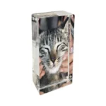 Verified image for post 264395