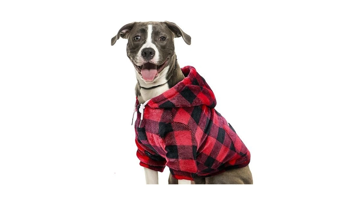 Verified image for post 264403