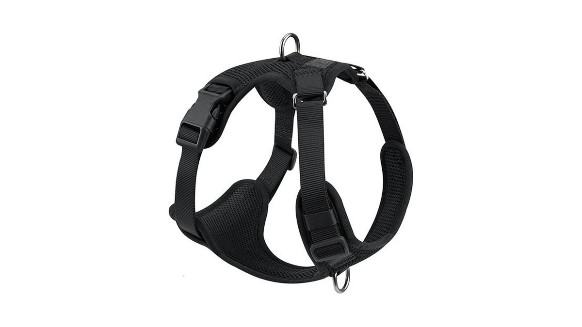 Verified image for post 264707