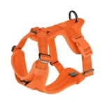 Verified image for post 264739