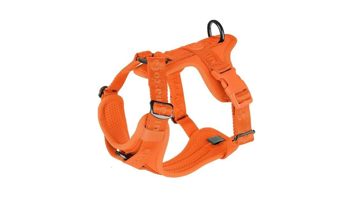 Verified image for post 264739