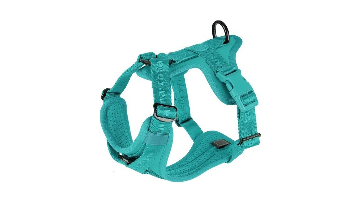 Verified image for post 264811