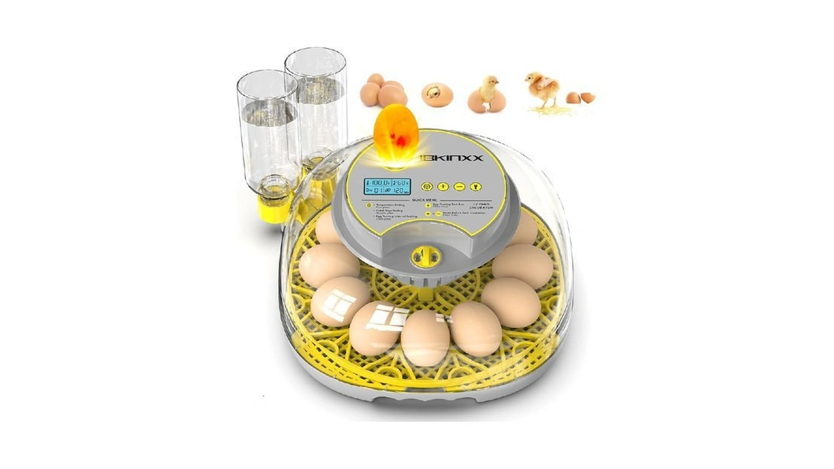 Verified image for post 264861