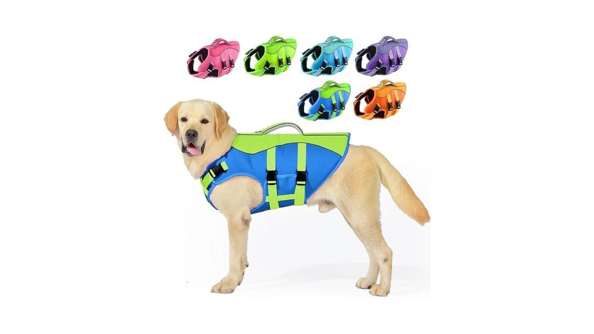 Verified image for post 265057