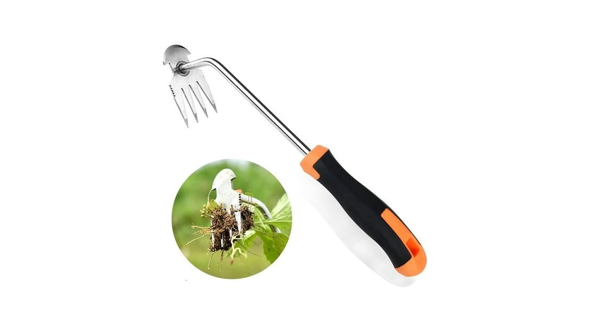 Verified image for post 265223