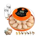 Verified image for post 265243